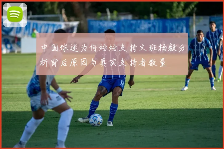 中国球迷为何纷纷支持文班杨毅分析背后原因与真实支持者数量